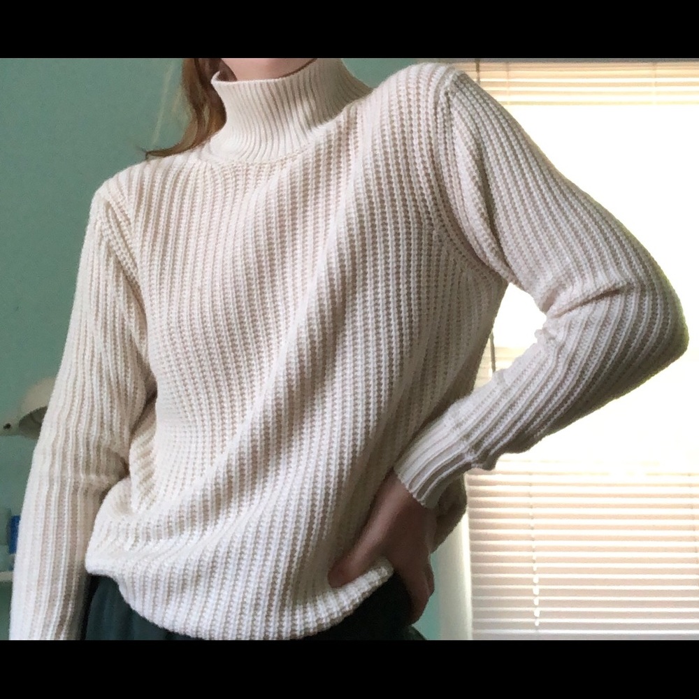 Brandy Melville Knit Turtleneck Sweater!